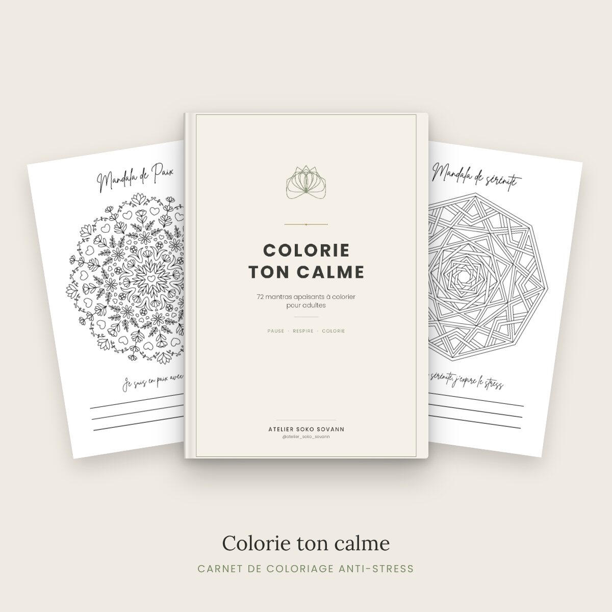 Colorie ton calme Colorie ton calme, 72 mandalas et mantras à colorier en PDF